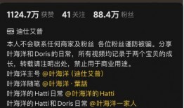 努尔爆料叶海洋视频全集,揭秘背后惊人内幕